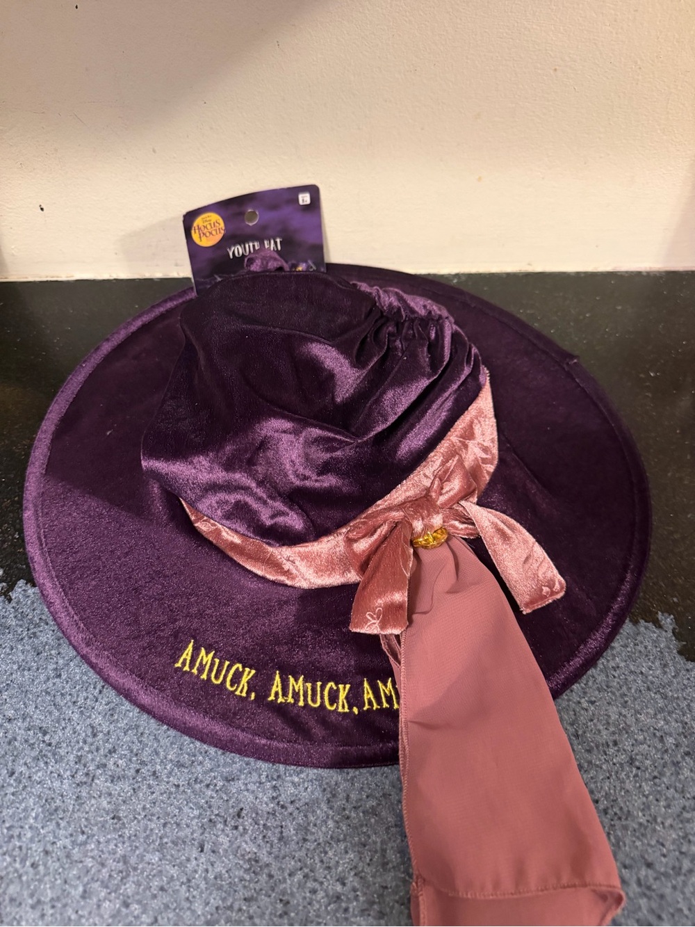 Disney Hocus Pocus Velour Witch Youth Hat Halloween Costume Spirit New